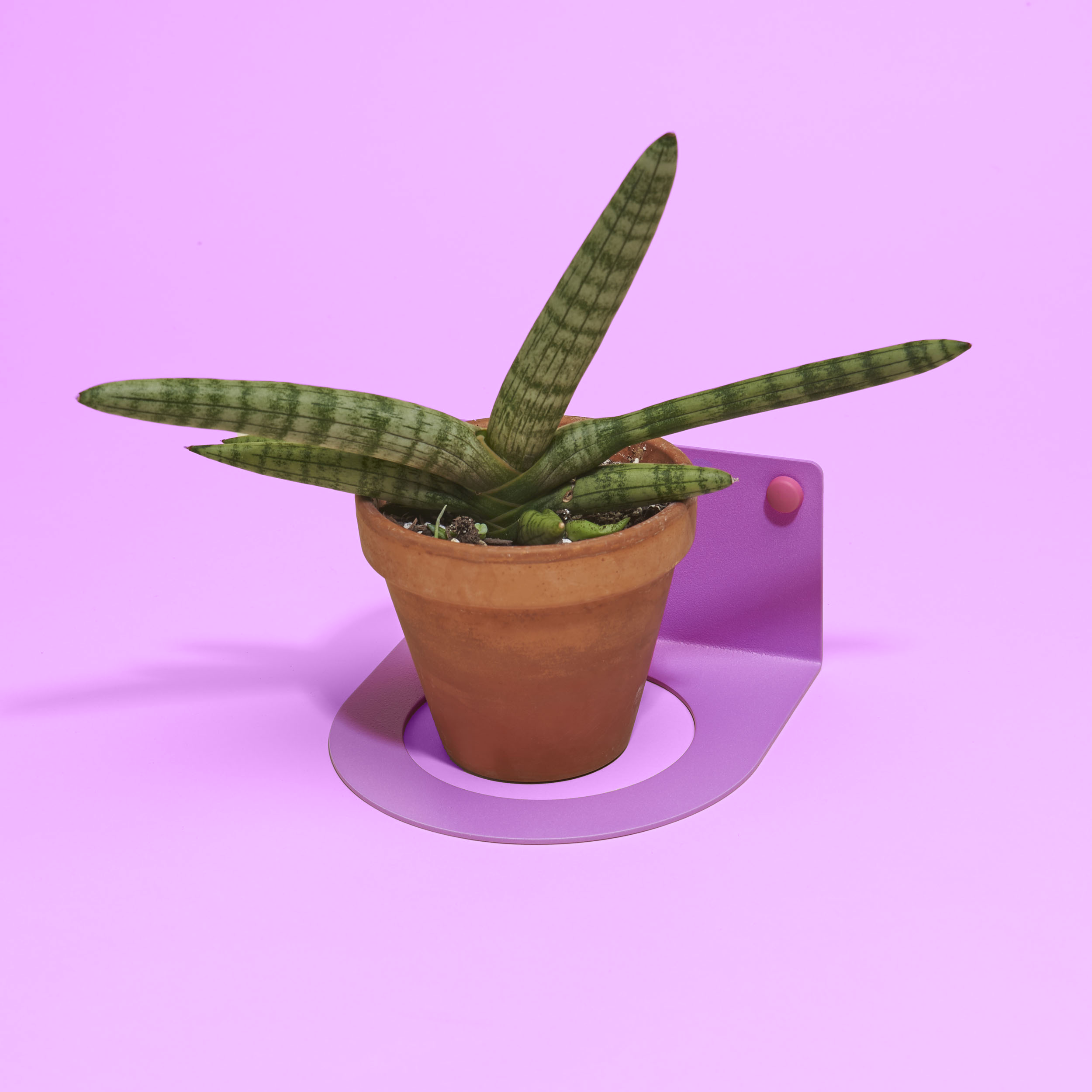 Ultra-Violet