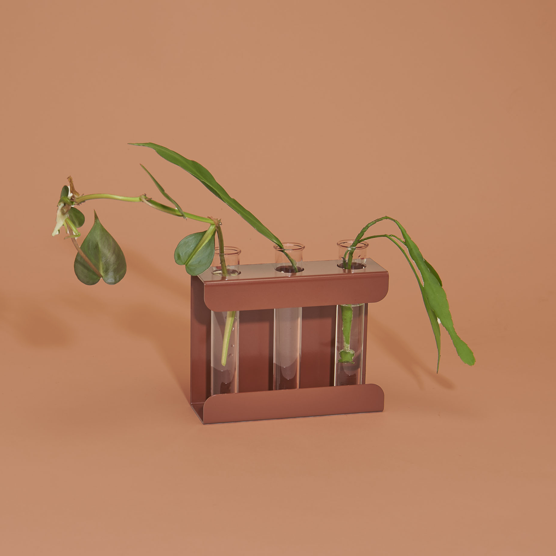 Terracotta
