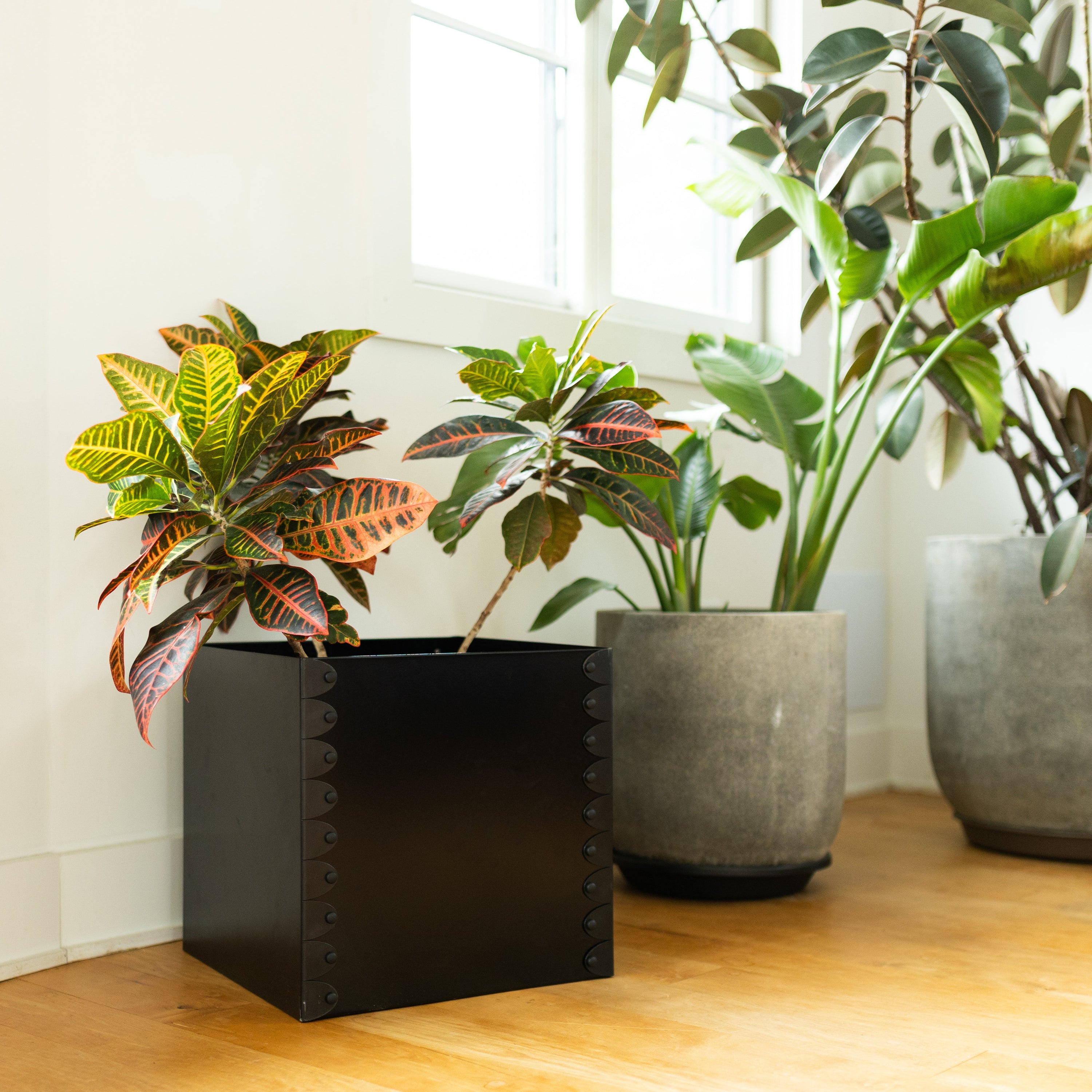 Limited Edition 16” Floor Planter