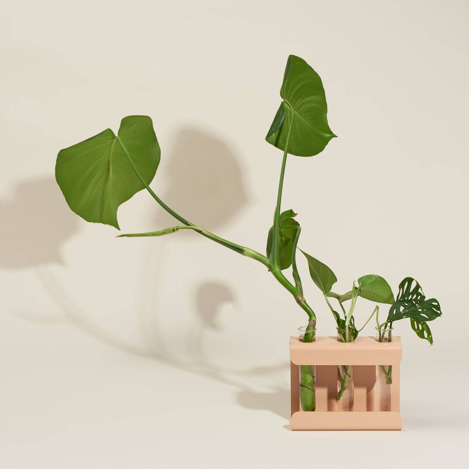 Propagation Station - Safran Everyday