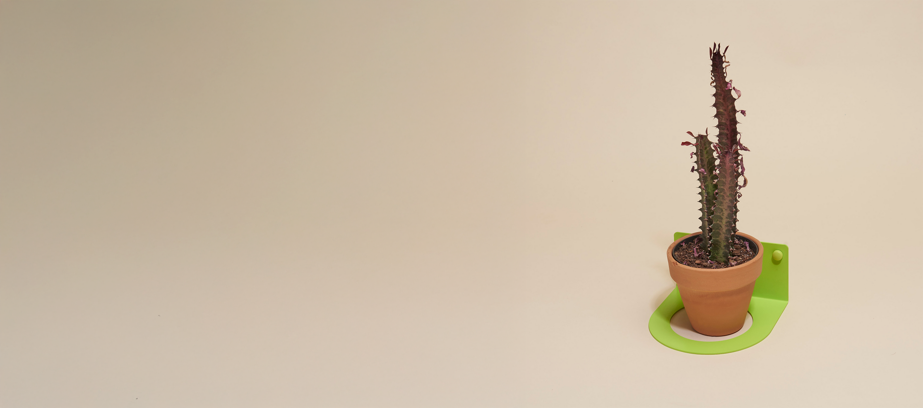 Plant Accessories