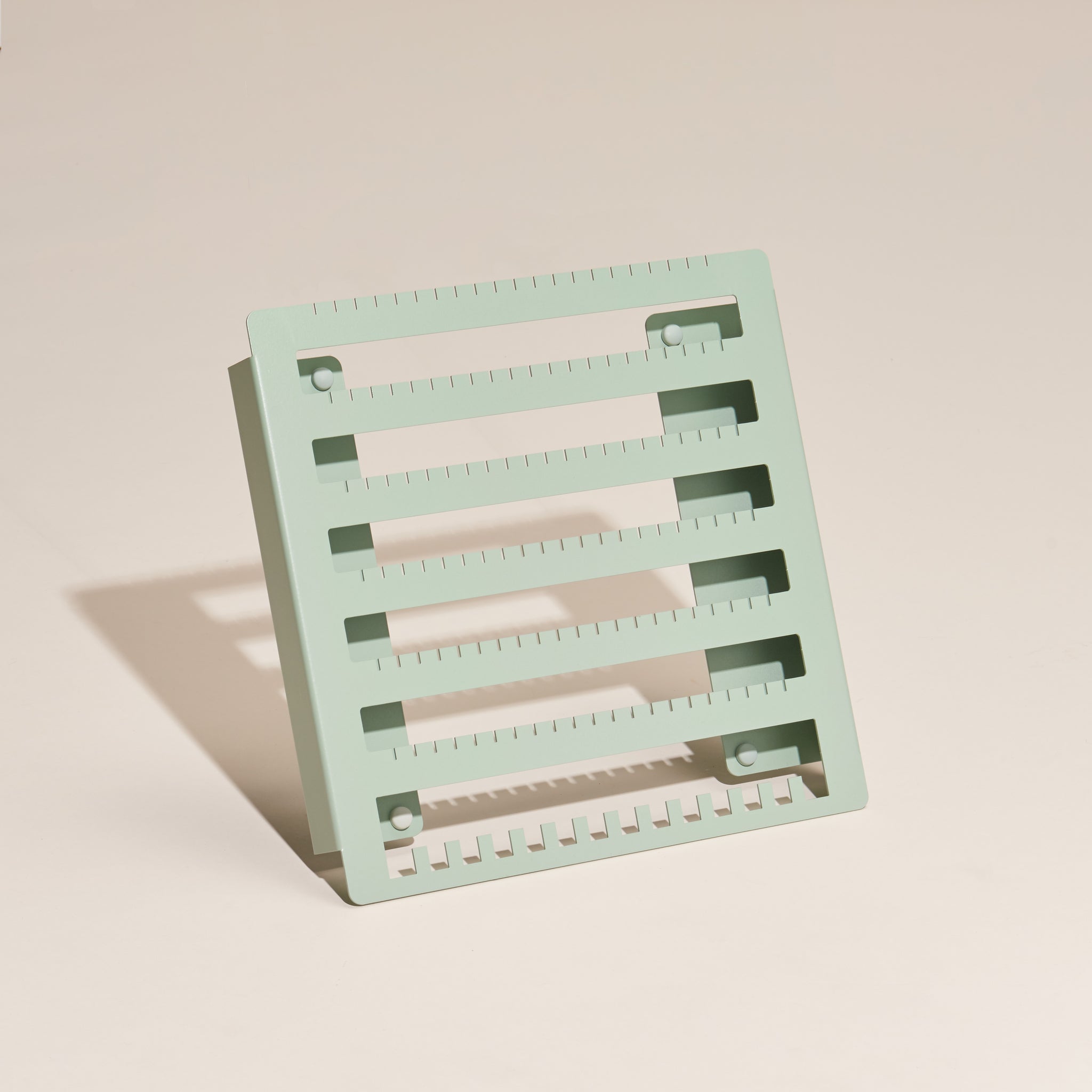 Earring Holder with Necklace Row
