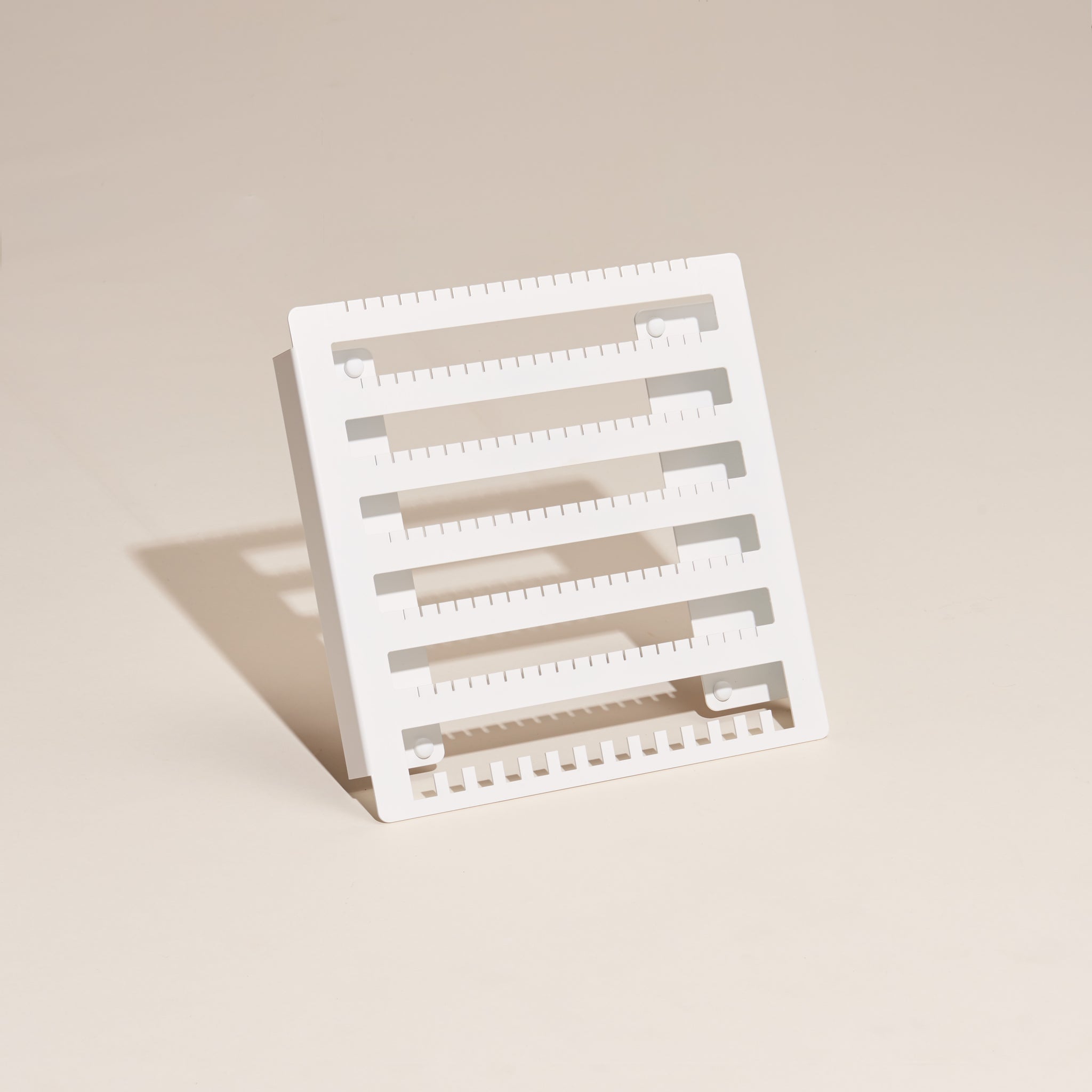 Earring Holder with Necklace Row