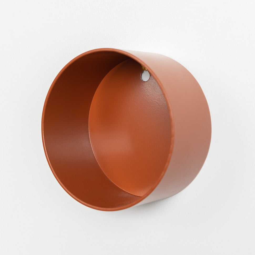 Air Plant Holders - Safran Everyday