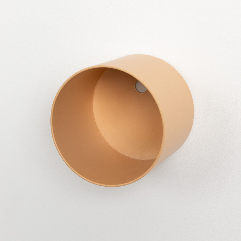 Air Plant Holders - Safran Everyday
