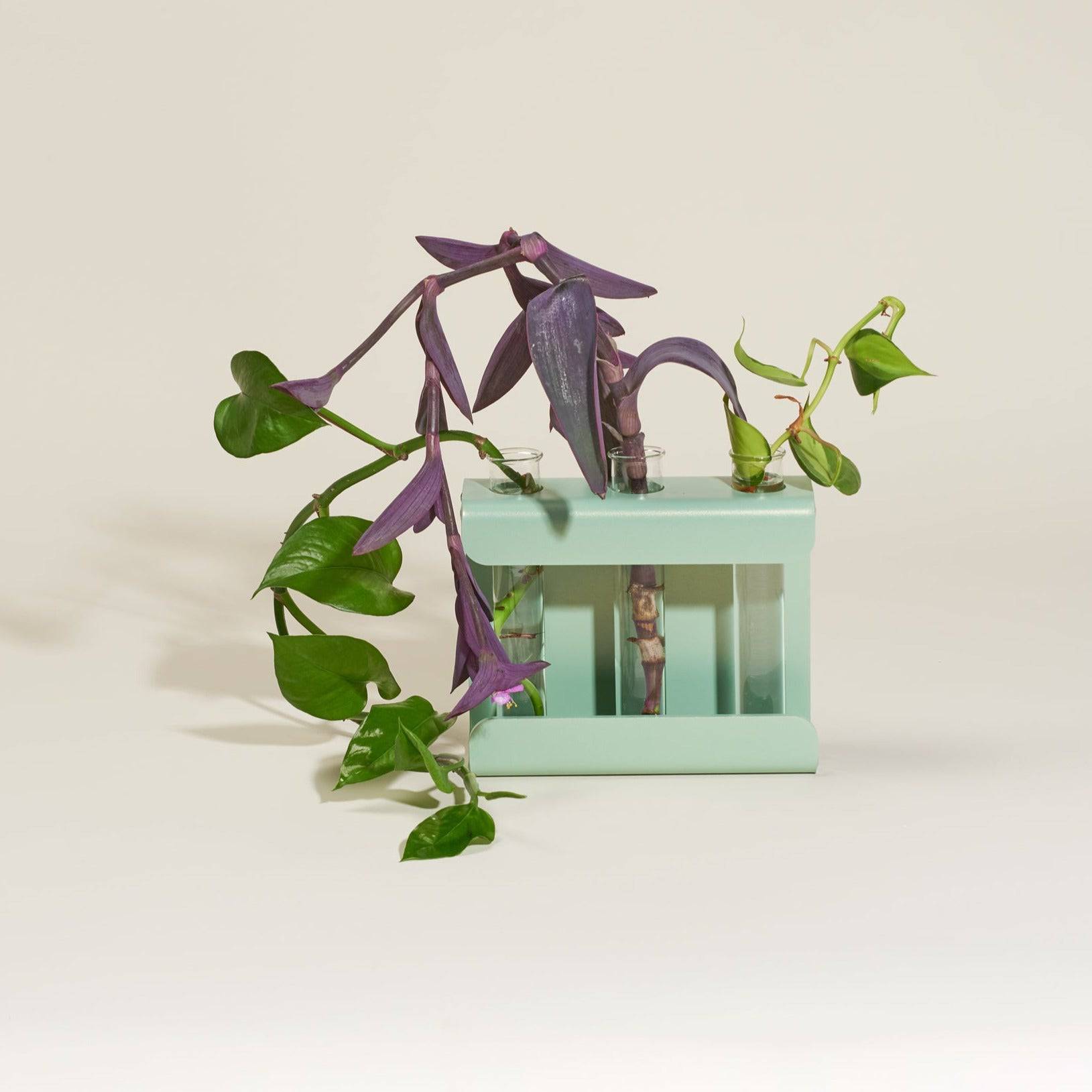 Propagation Station - Safran Everyday