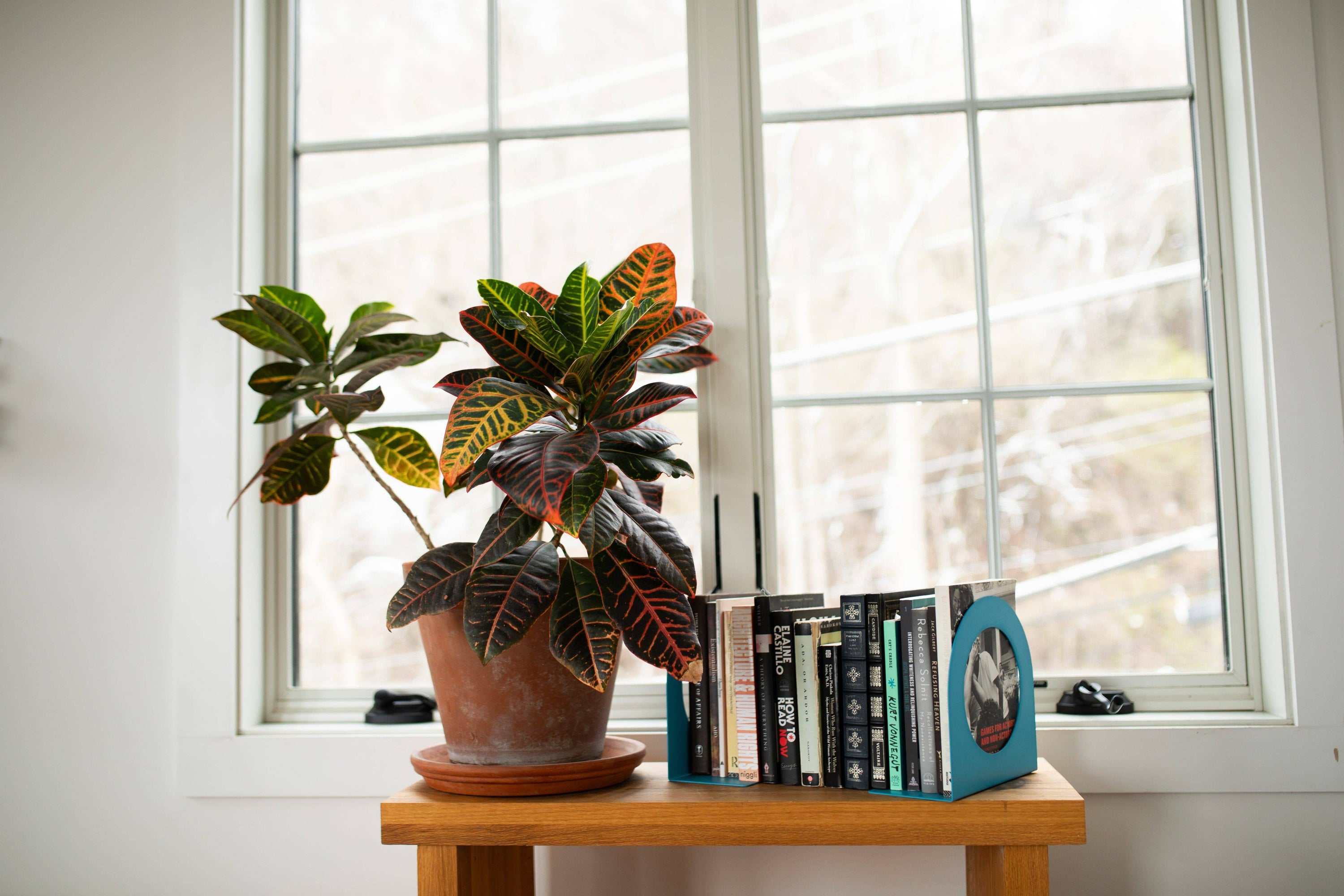 Book Ends - Safran Everyday