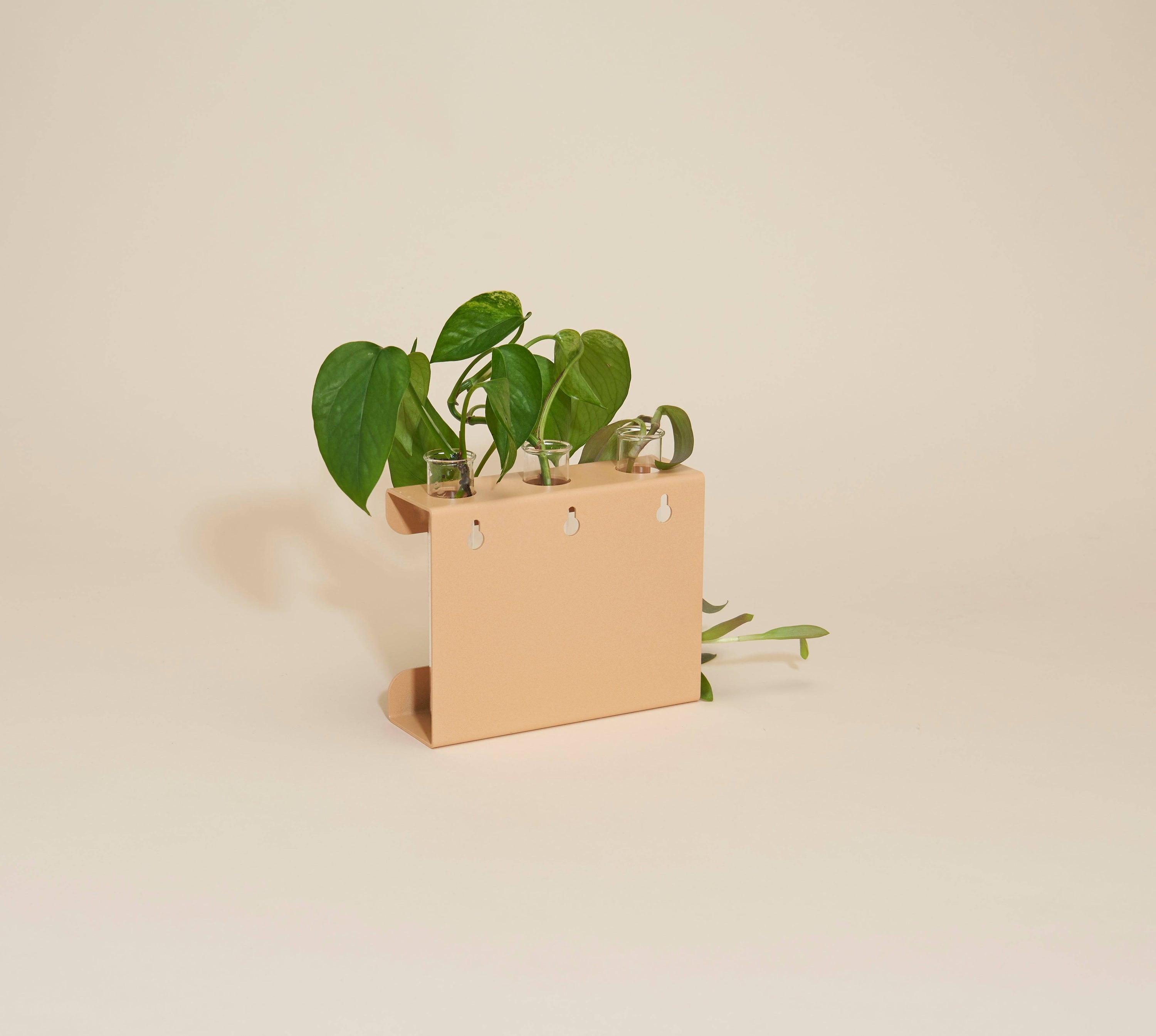 Propagation Station - Safran Everyday