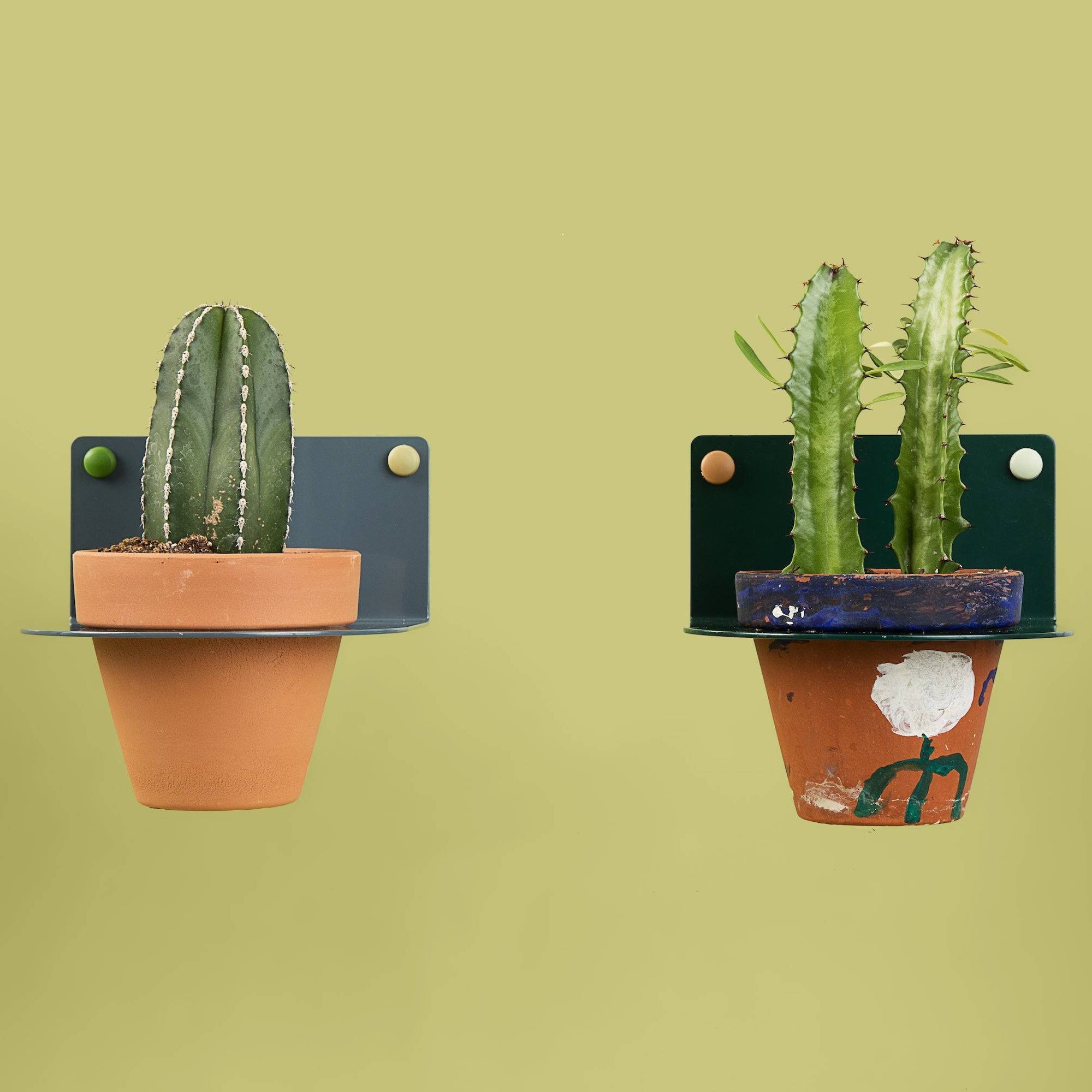 4" Plant Holder - Safran Everyday